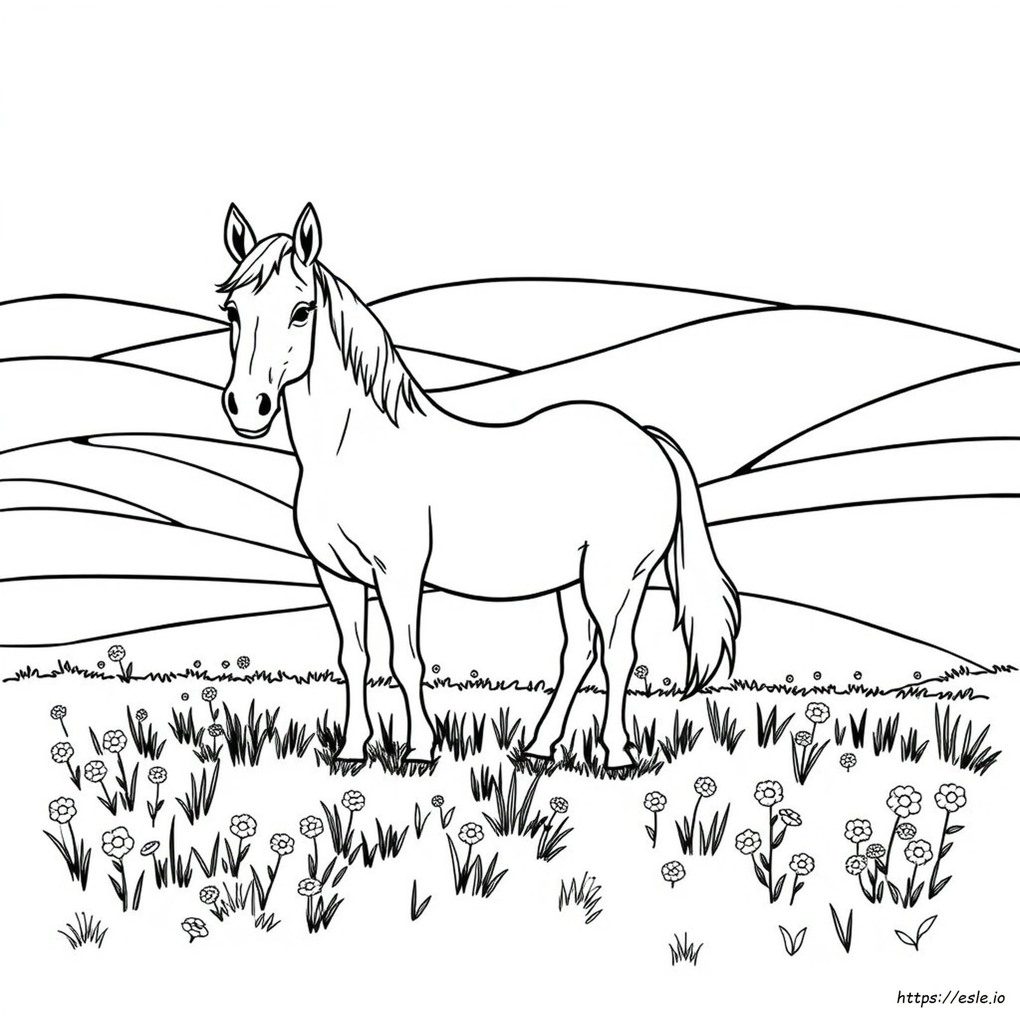 Colouring In Pages Horses