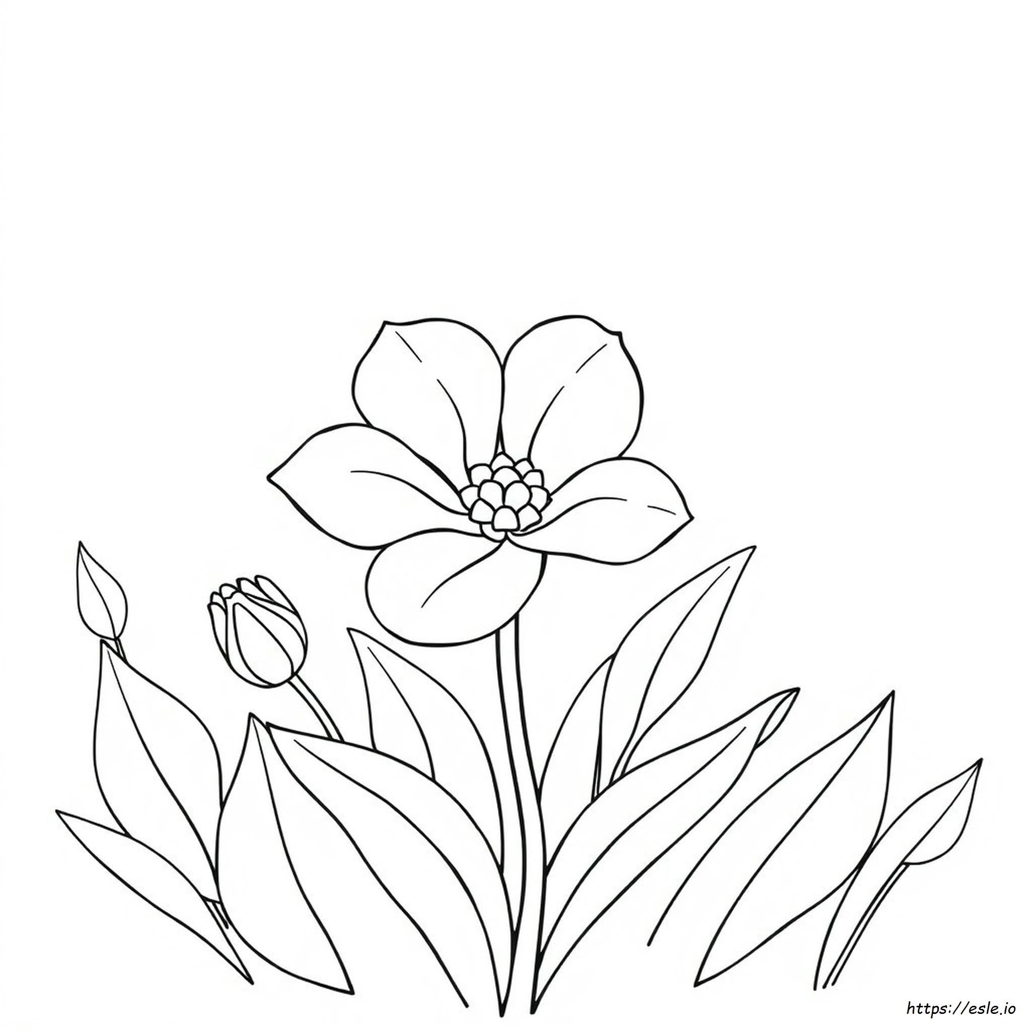 Cute Flower Colouring Pages