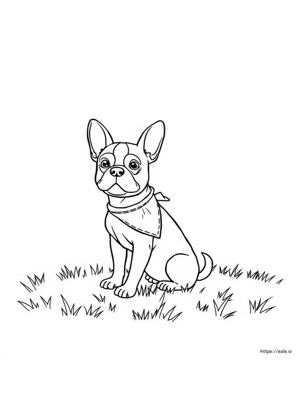 Frenchie Dog Coloring Page