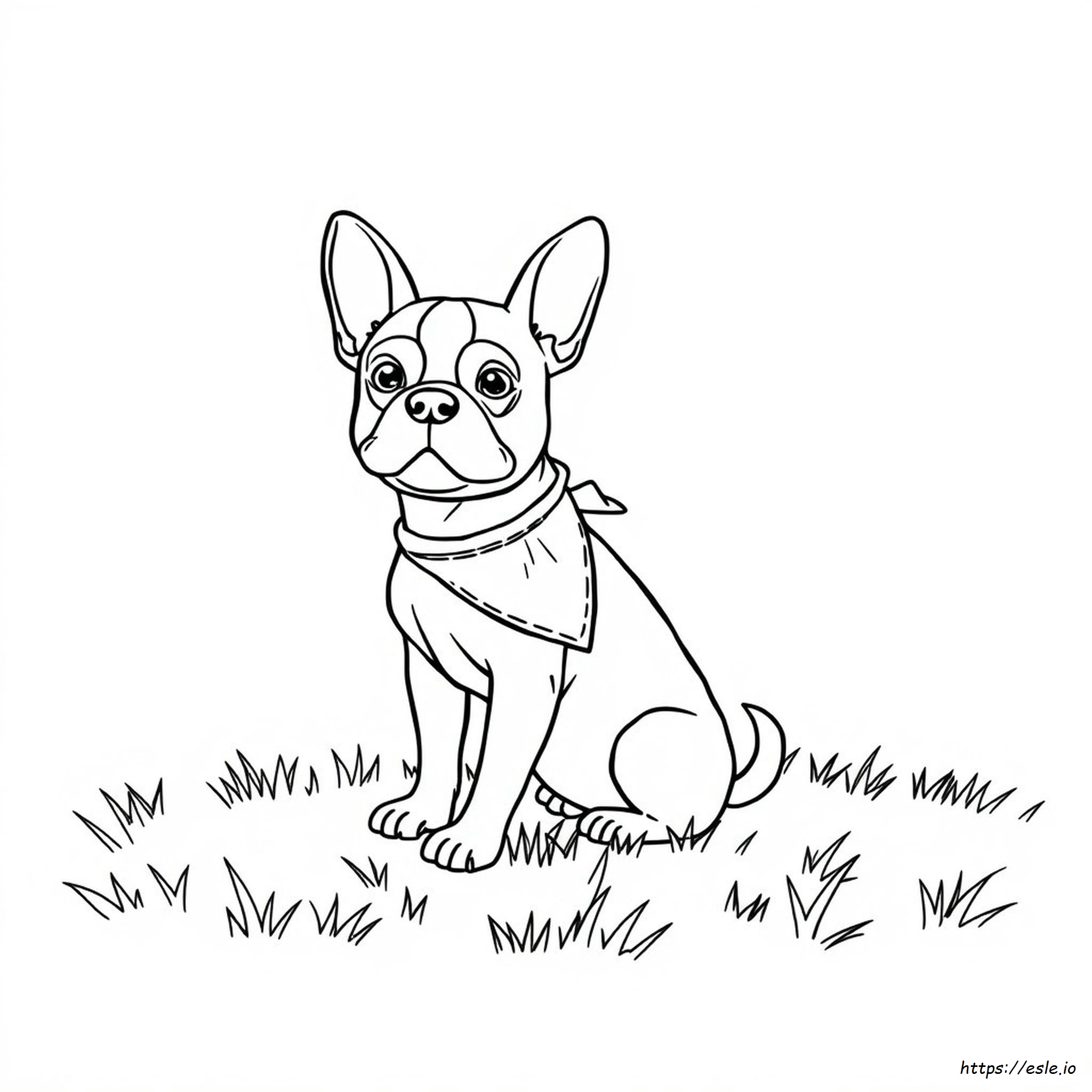 Gambar Mewarnai Anjing Frenchie