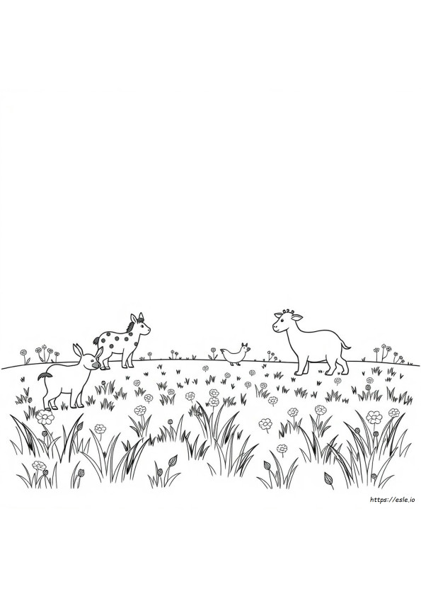Free Coloring Sheets Pdf
