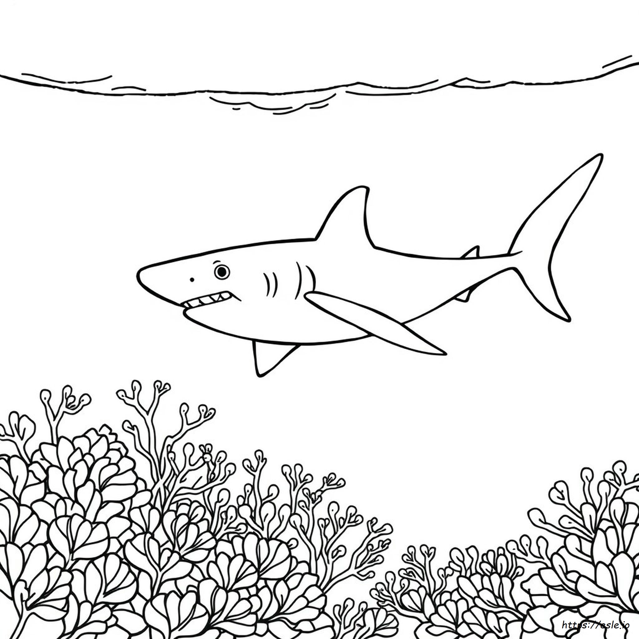 Colouring Pictures Of Sharks