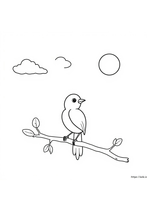 Coloriage Oiseau Dessin Animé