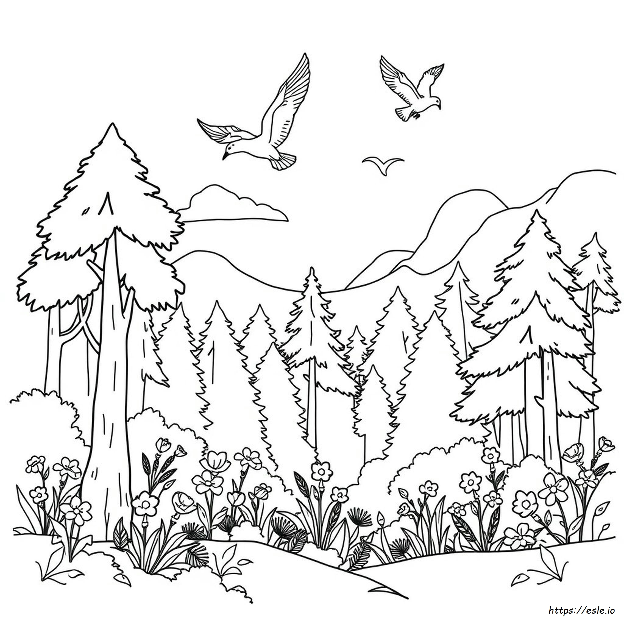 Naturlandschaft Ausmalbilder