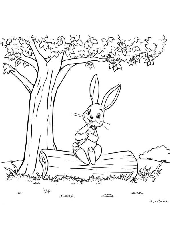 Peter Rabbit Boyama Sayfaları Nick Jr