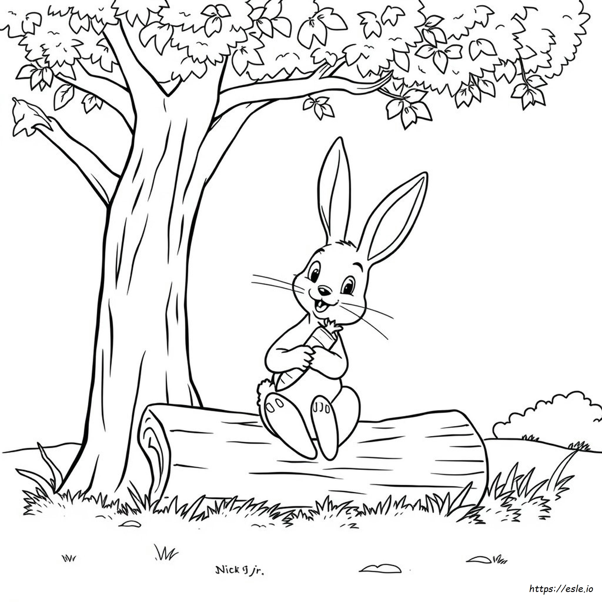 Peter Rabbit Coloring Pages Nick Jr