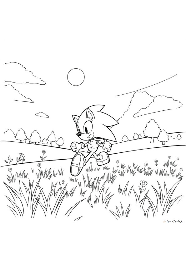 Sonic The Hedgehog Colouring In Pictures