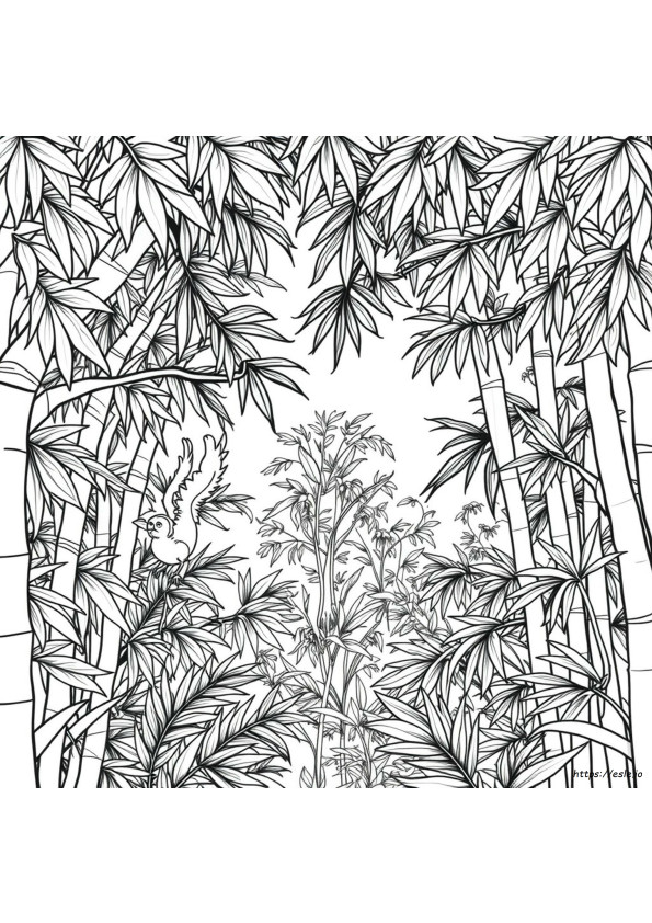 Desenhos Da Floresta Amazônica Para Colorir