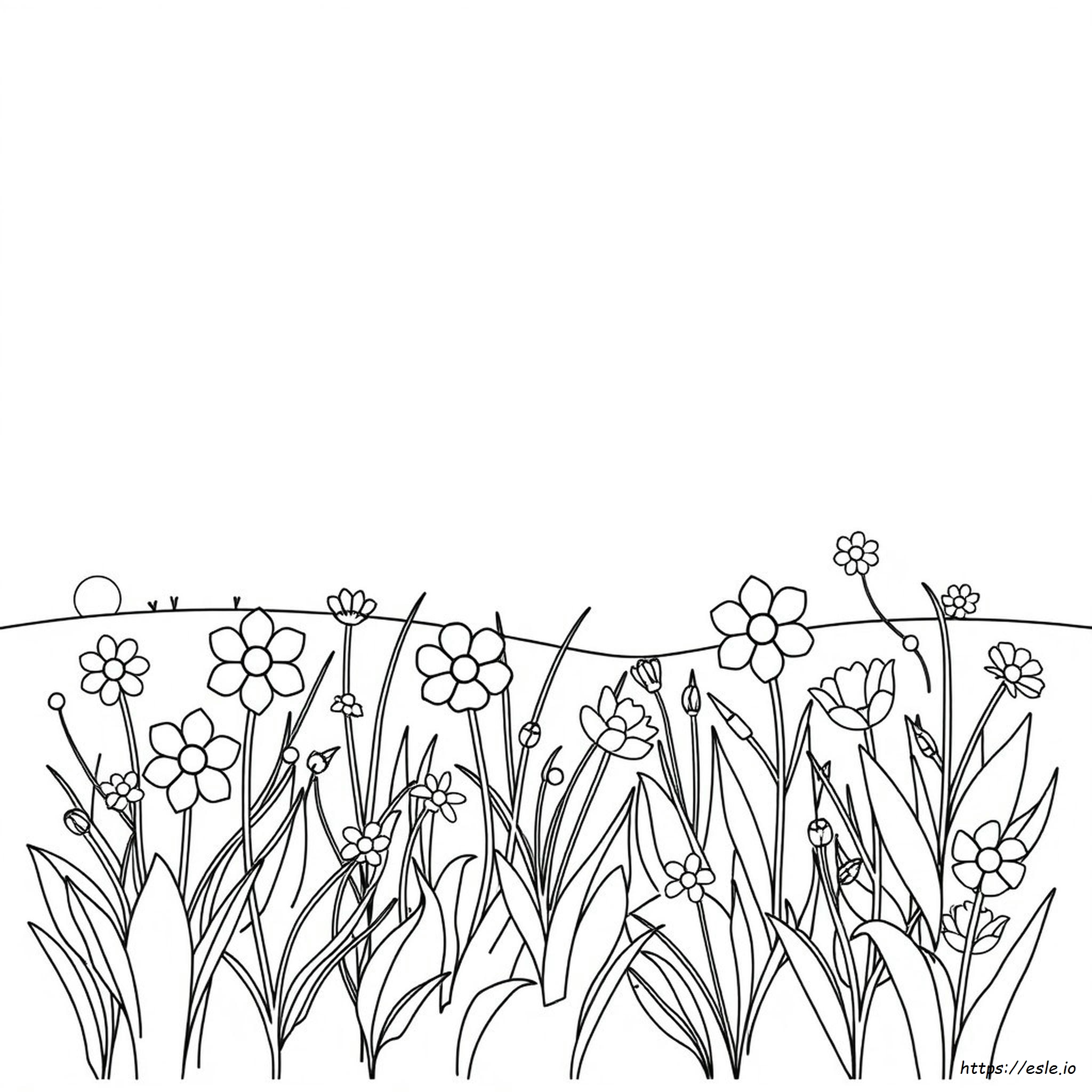 Lois Ehlert Coloring Pages
