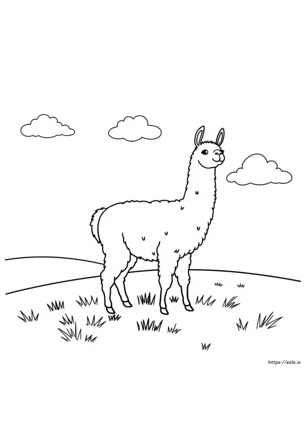 Lhama Para Colorir