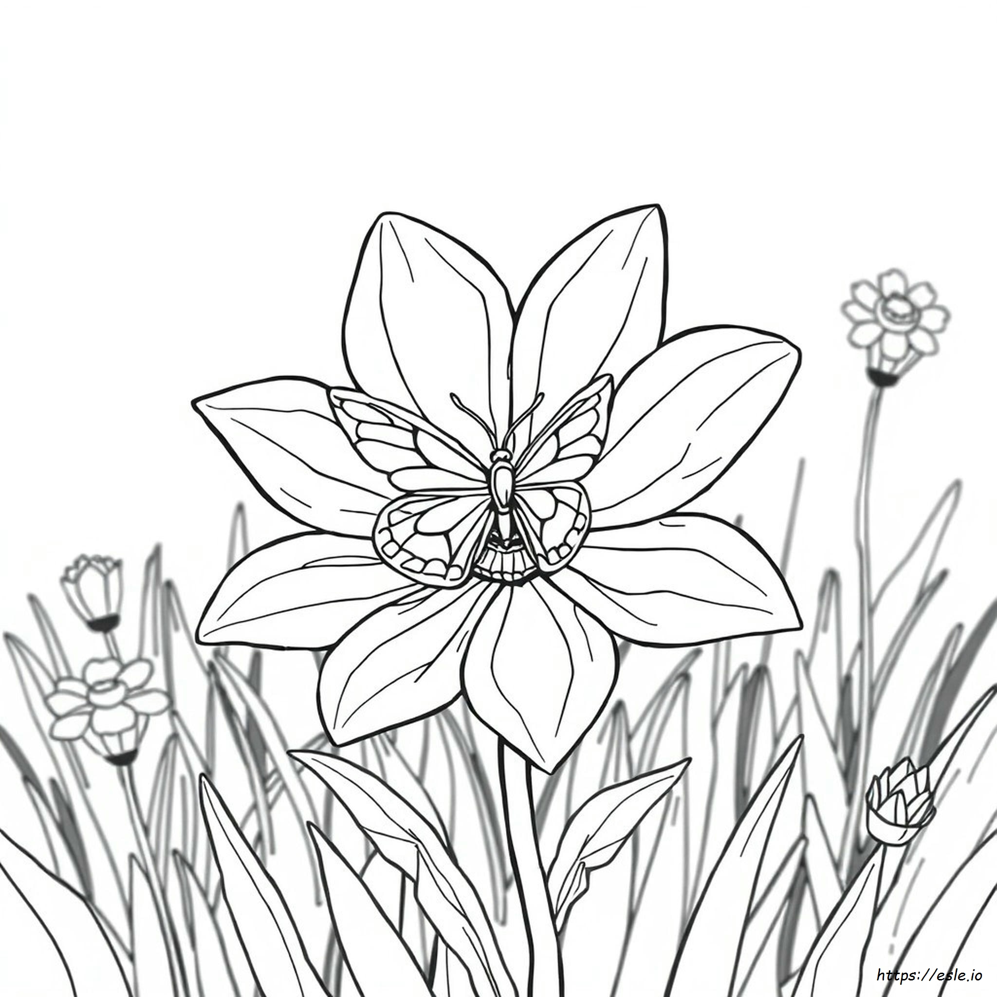 Flower Butterfly Coloring Pages For Adults