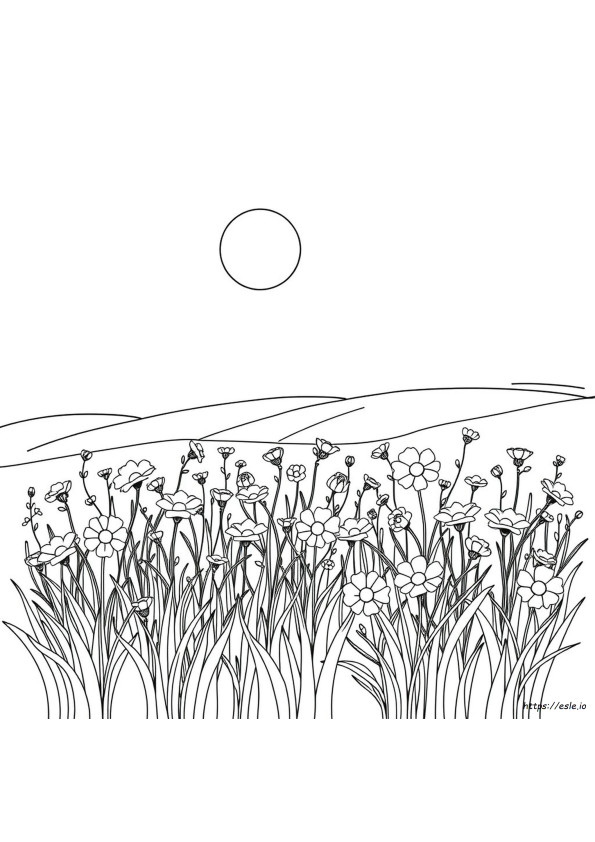 Field Coloring Page