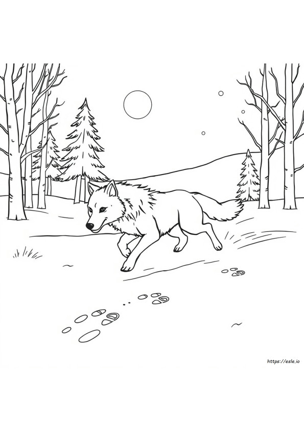 Free Wolf Colouring Pages