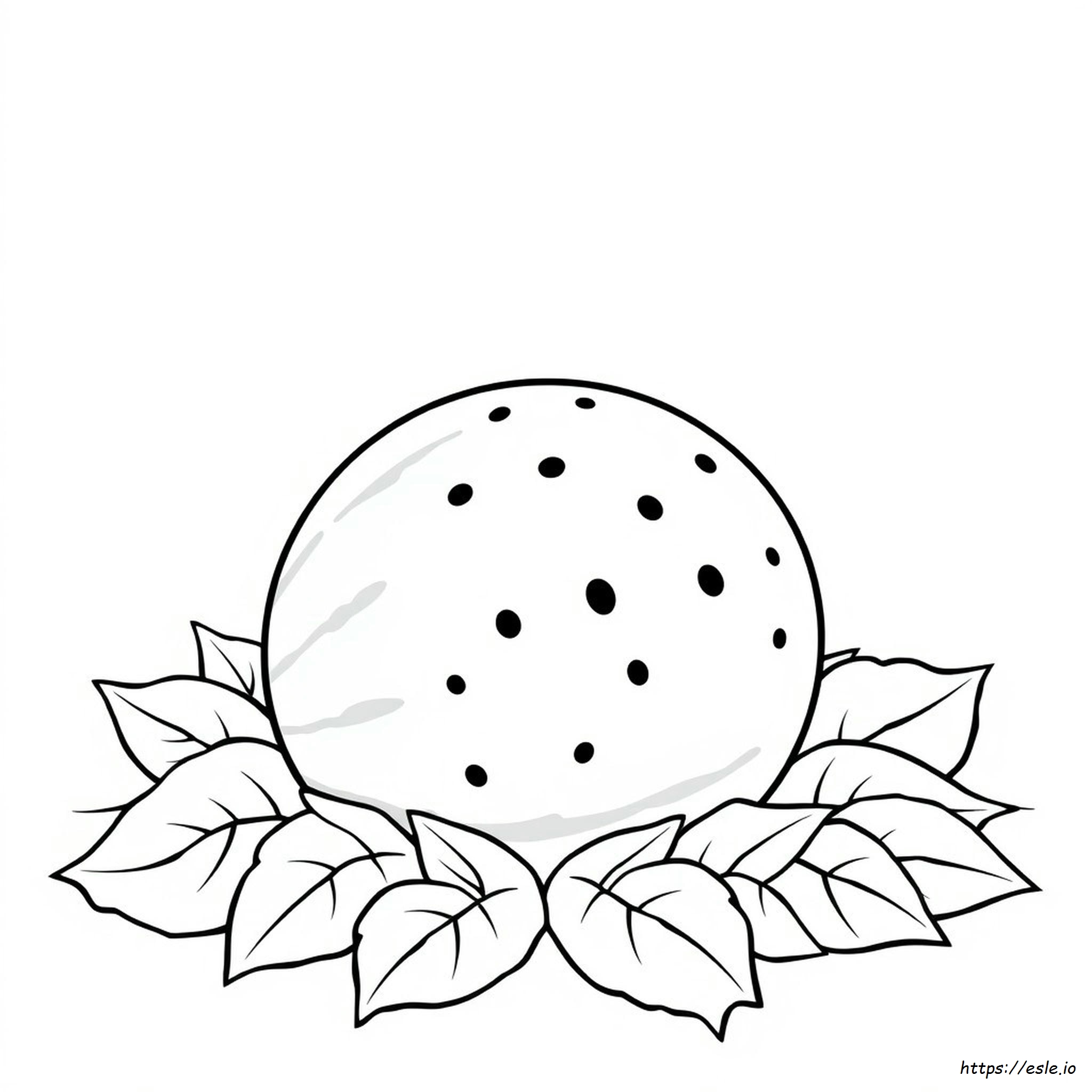 Watermelon Colouring Images