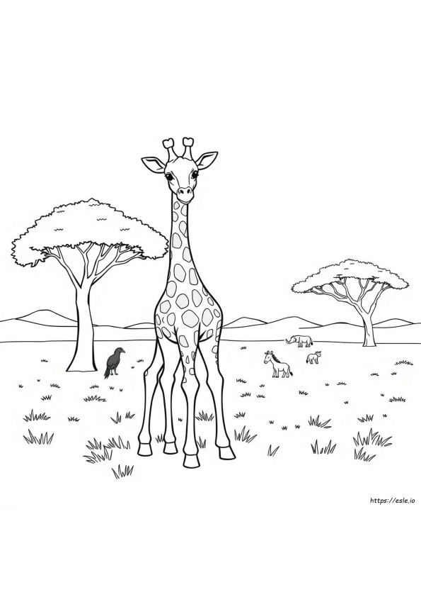 Desenhos Para Colorir Nat Geo
