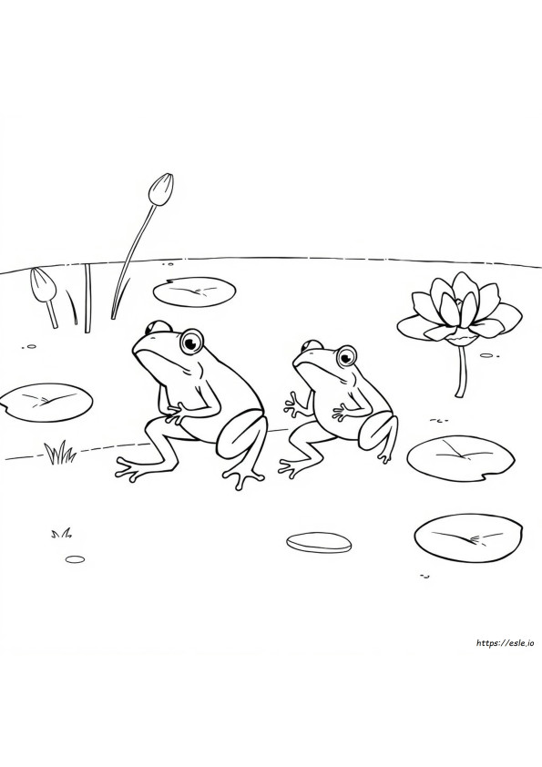 Plagues Of Egypt Coloring Pages