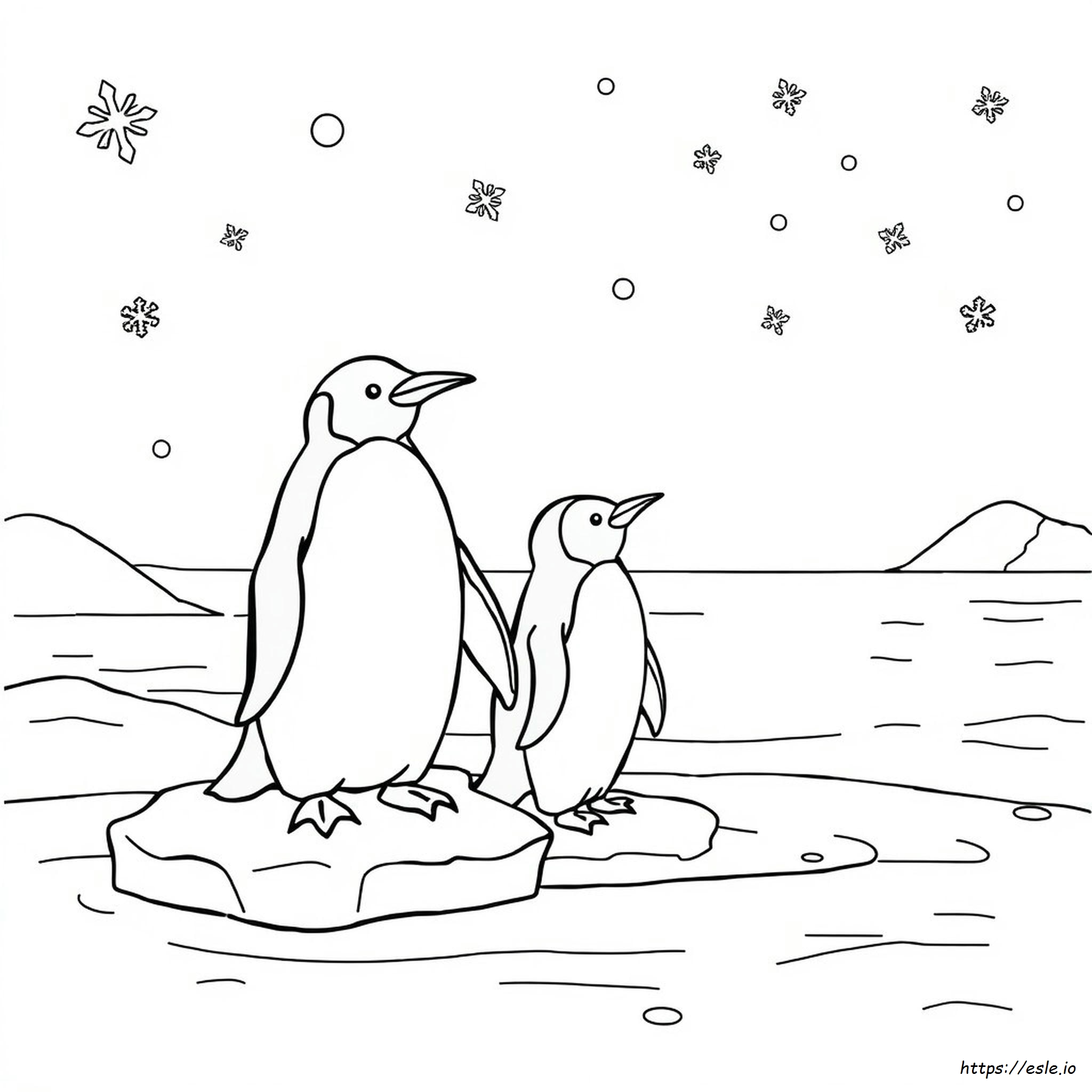 Penguin Coloring Pages For Adults