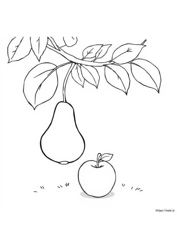 Coloring Page Pear And Apple