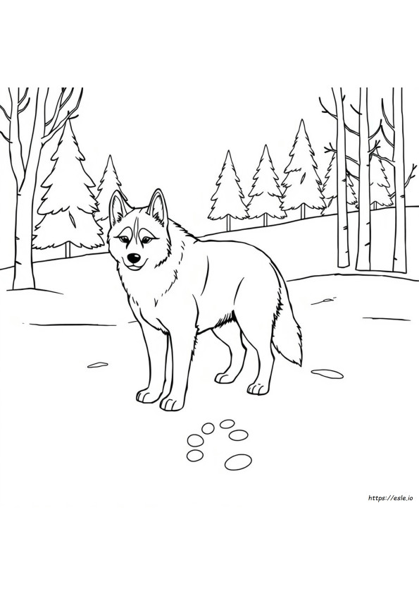 Husky Mewarnai Gambar