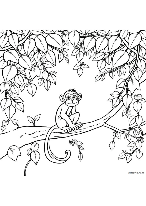 Coloriages De Singes Mignons