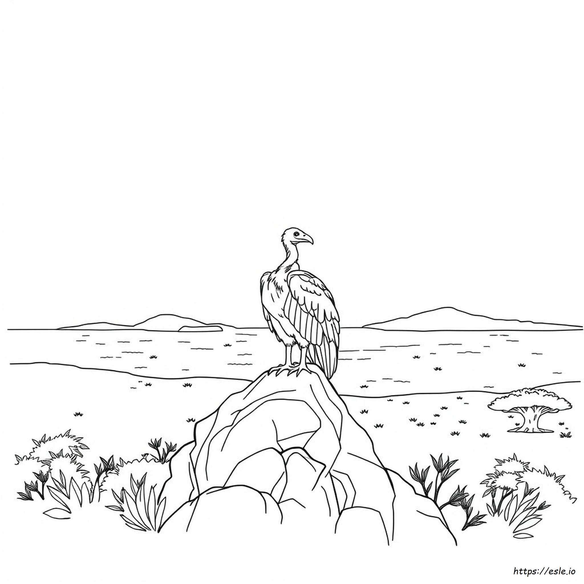 Vulture Coloring Pages