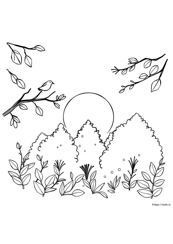 Morning Scribbles Coloring Pages