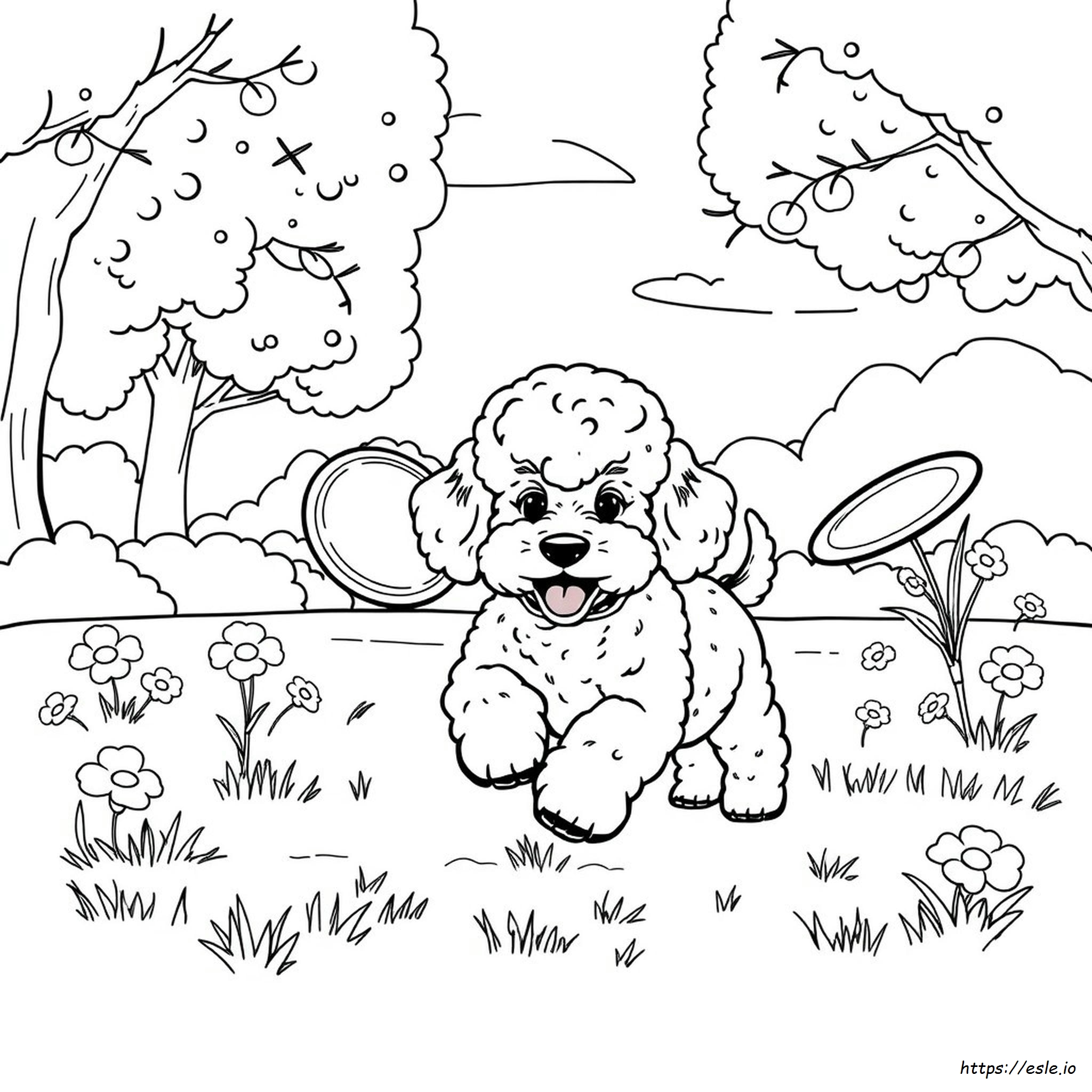 Poodle Puppy Coloring Page