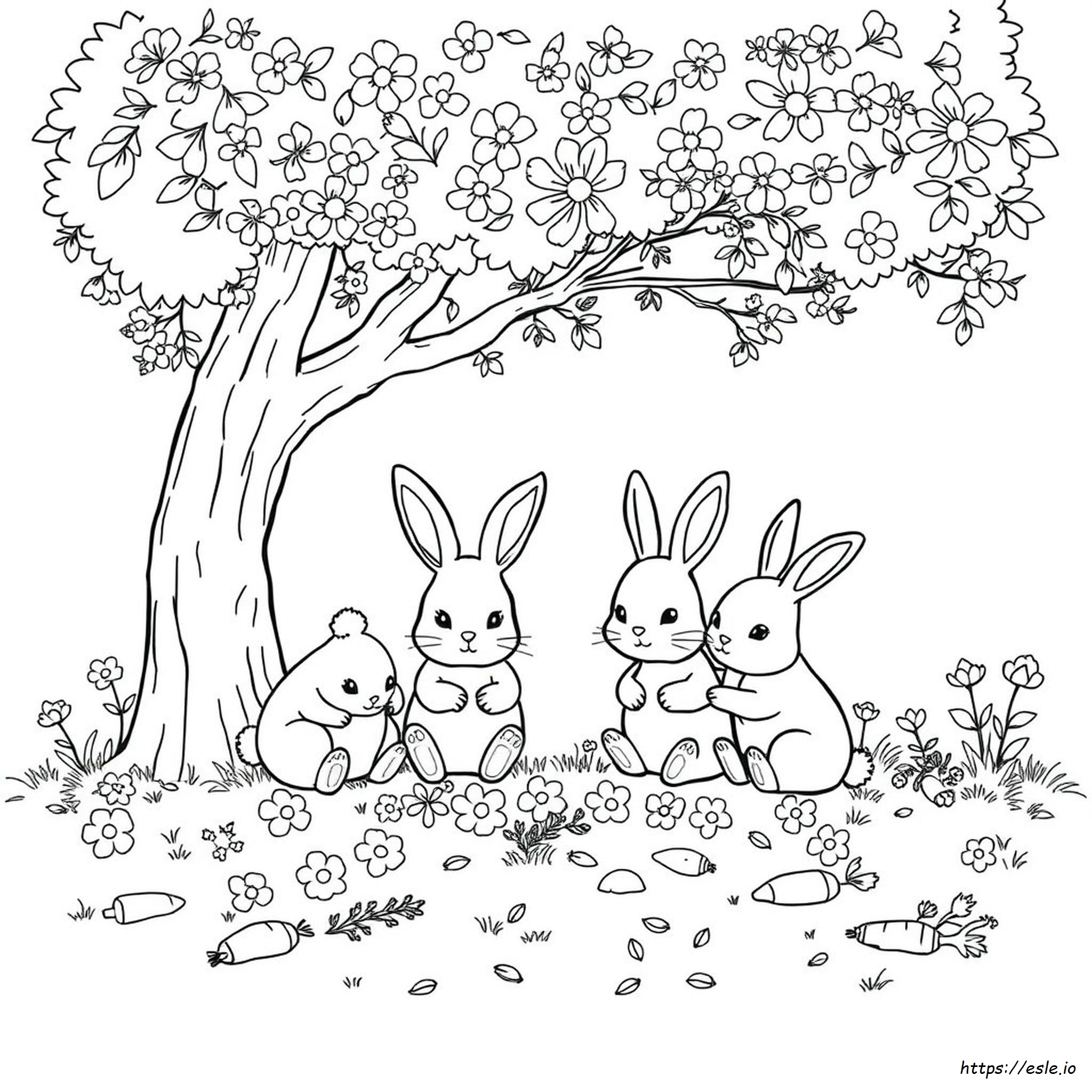 Kolorowanki Sunny Bunnies Pdf
