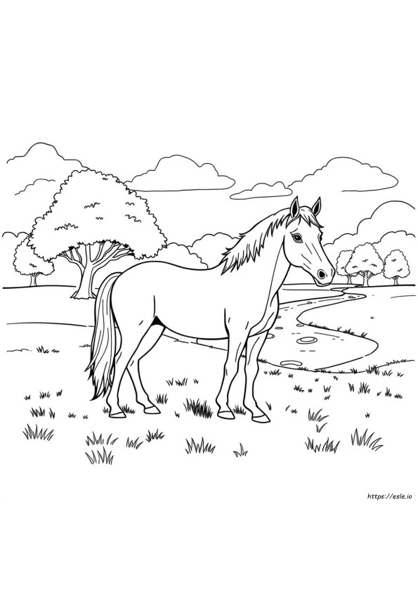 Realistic Horse Coloring Pictures
