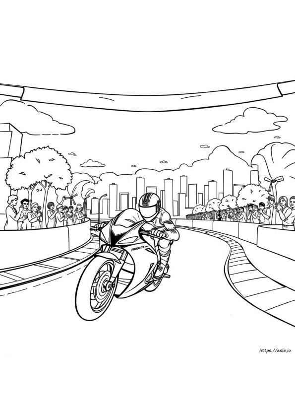 Klepelplaat Racing Motorfiets