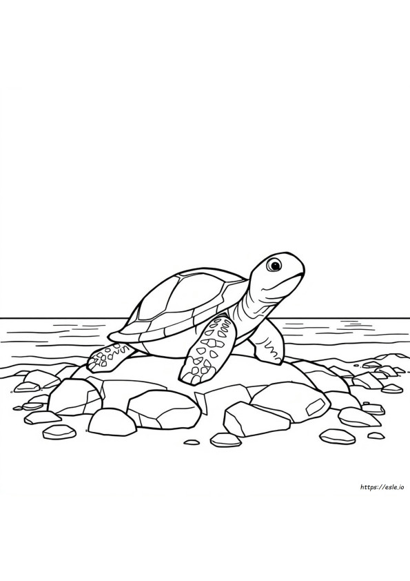 Schildpad Verpletteren Kleurplaten