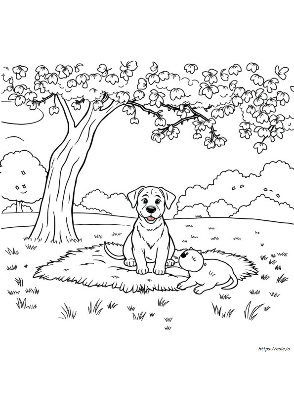 Dog Colouring In Pages