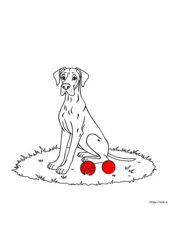 Great Dane Coloring Page