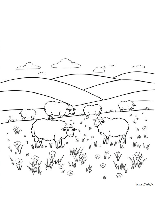 Colouring Pages Of Sheep