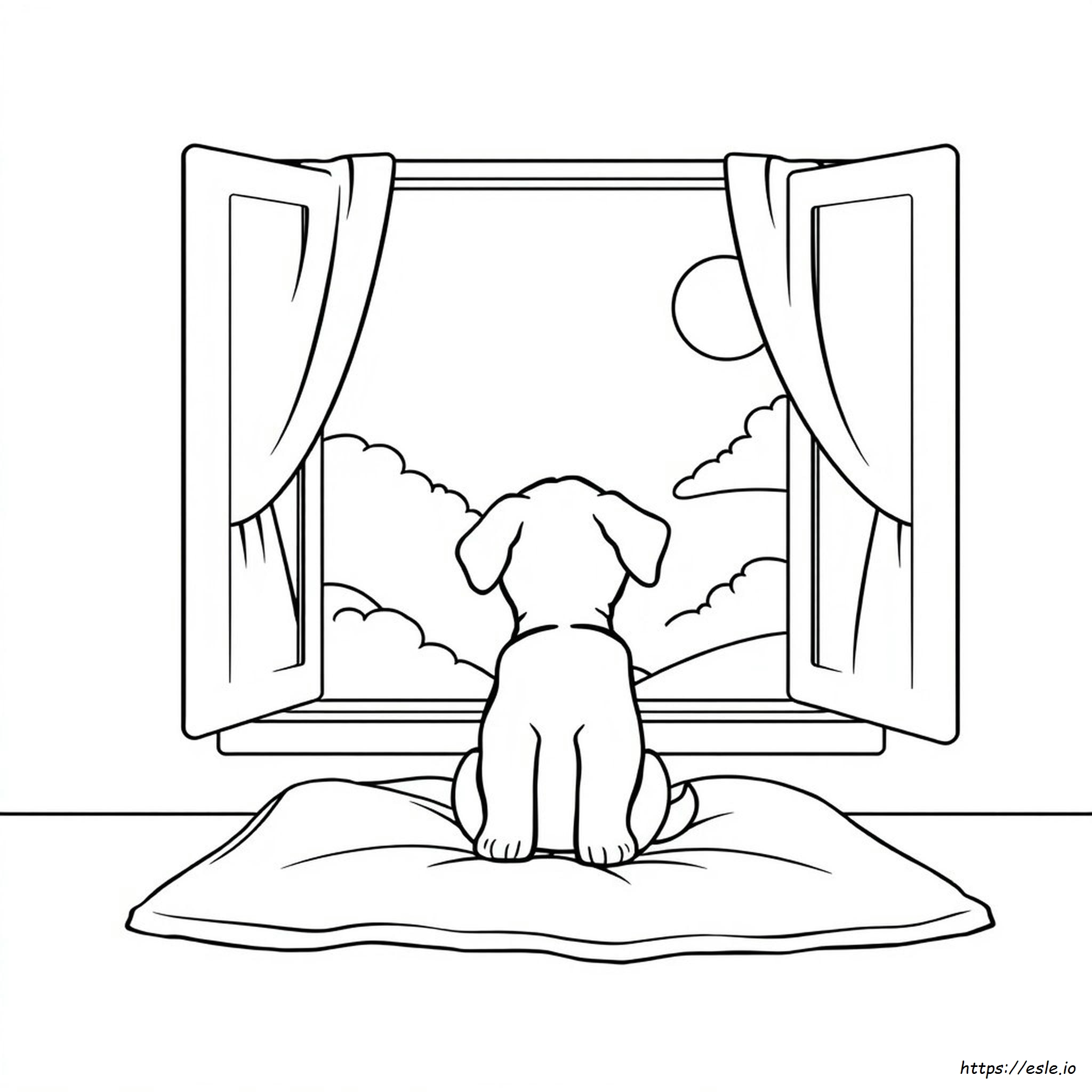 Puppy Dog Coloring Pages