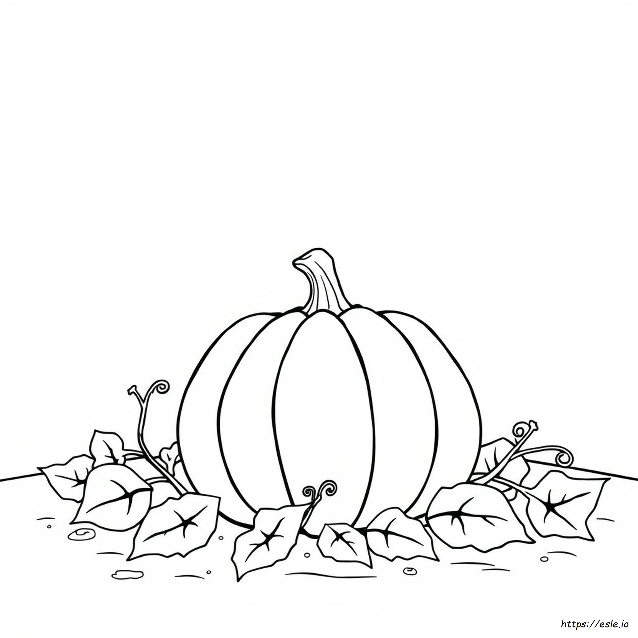 Pumpkin Coloring Pages Pdf Free Download