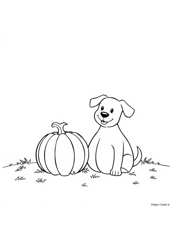 Cane E Zucca Da Colorare
