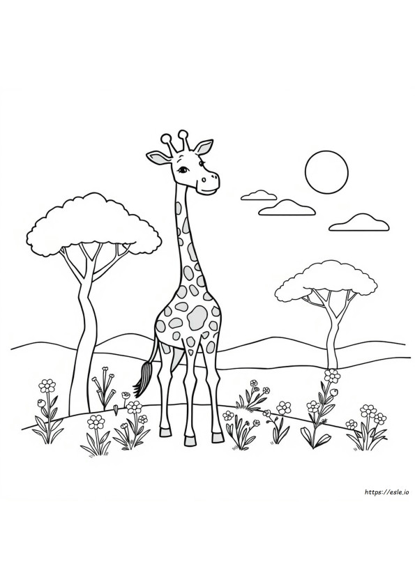 Cute Giraffe Colouring