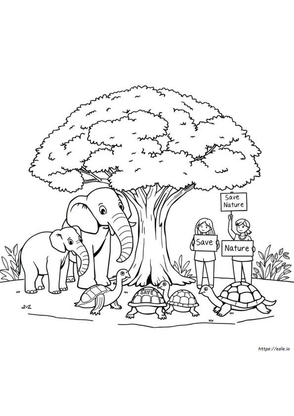 Conservation Coloring Pages