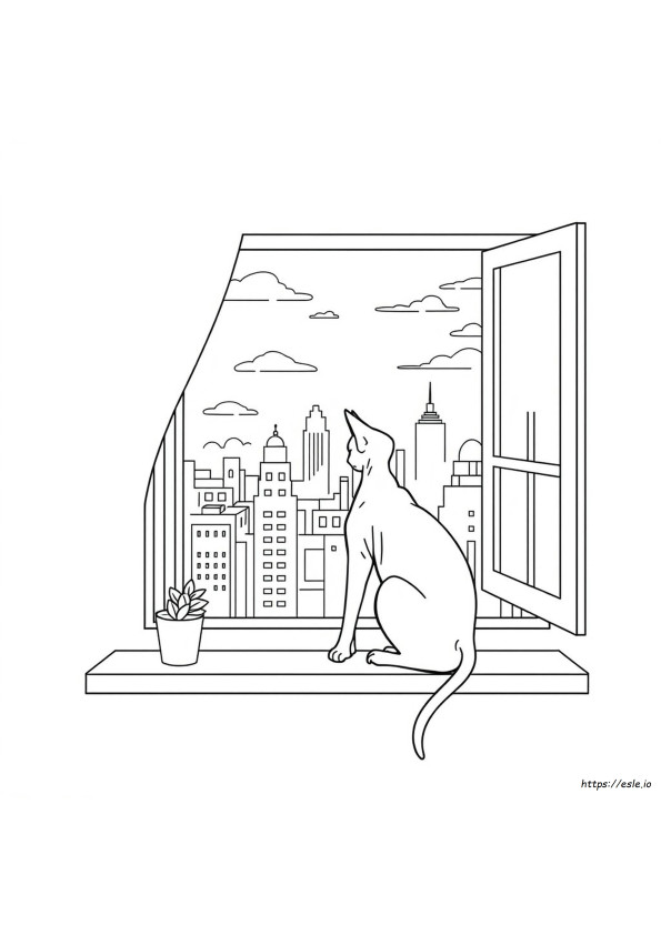 Gatto Sphynx Da Colorare