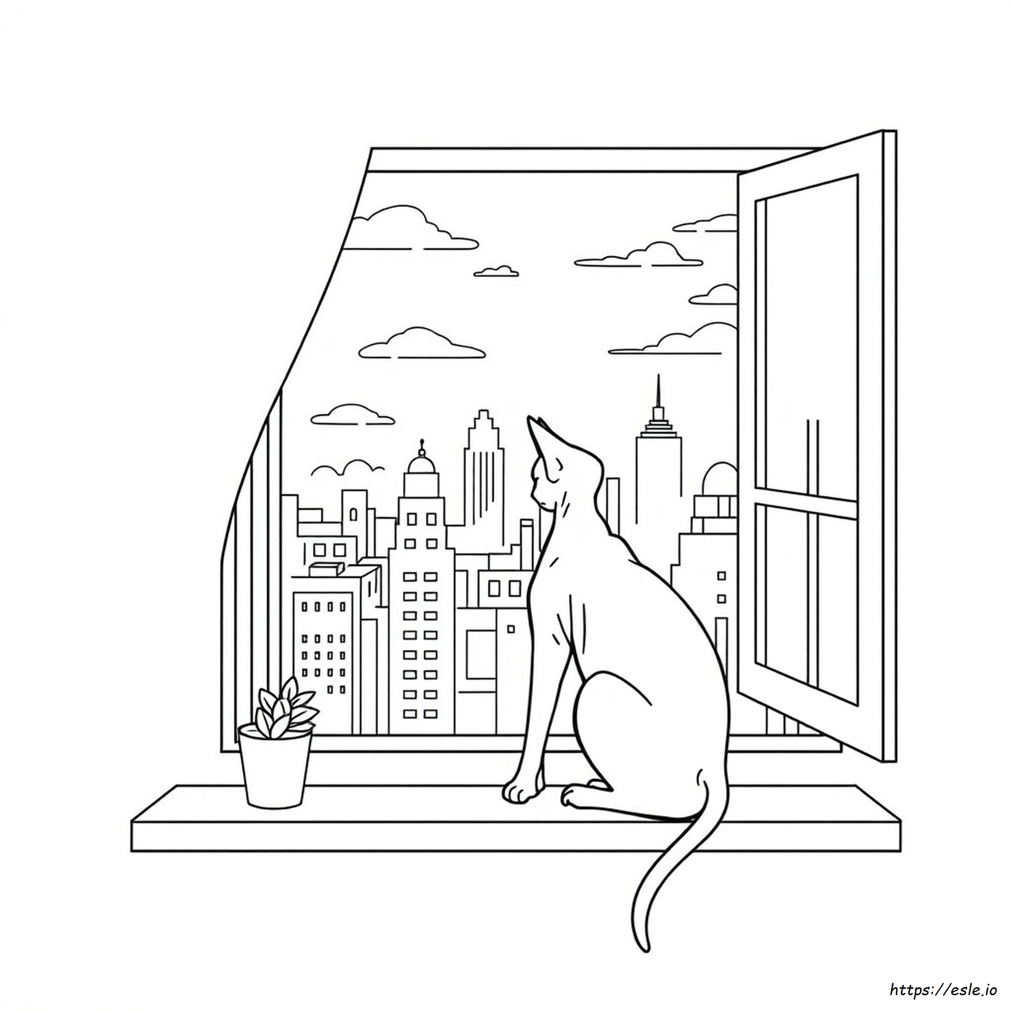 Gambar Mewarnai Kucing Sphynx