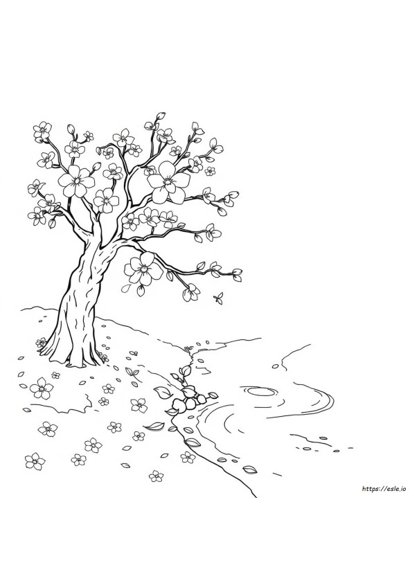 Cherry Creek Coloring Pages