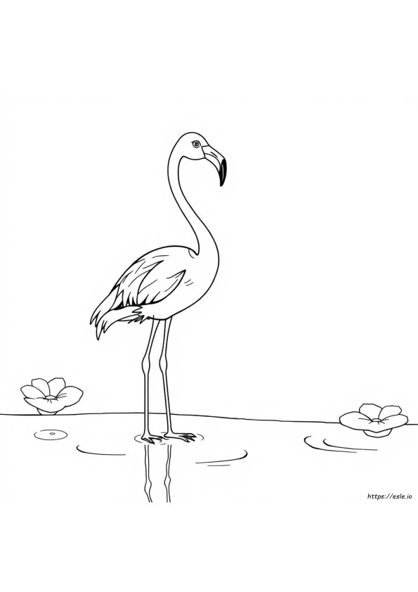 Flamingo Ausmalbilder Zum Ausdrucken