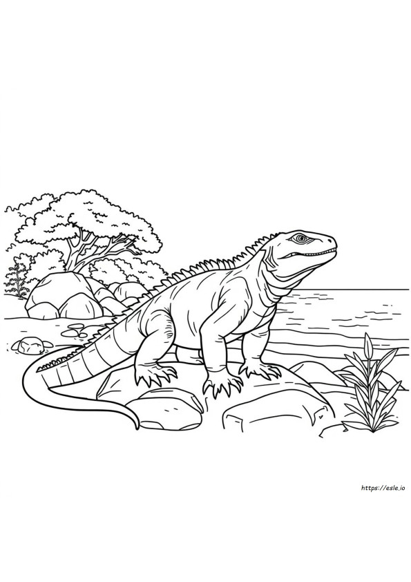 Kolorowanka Komodo Smok Do Druku