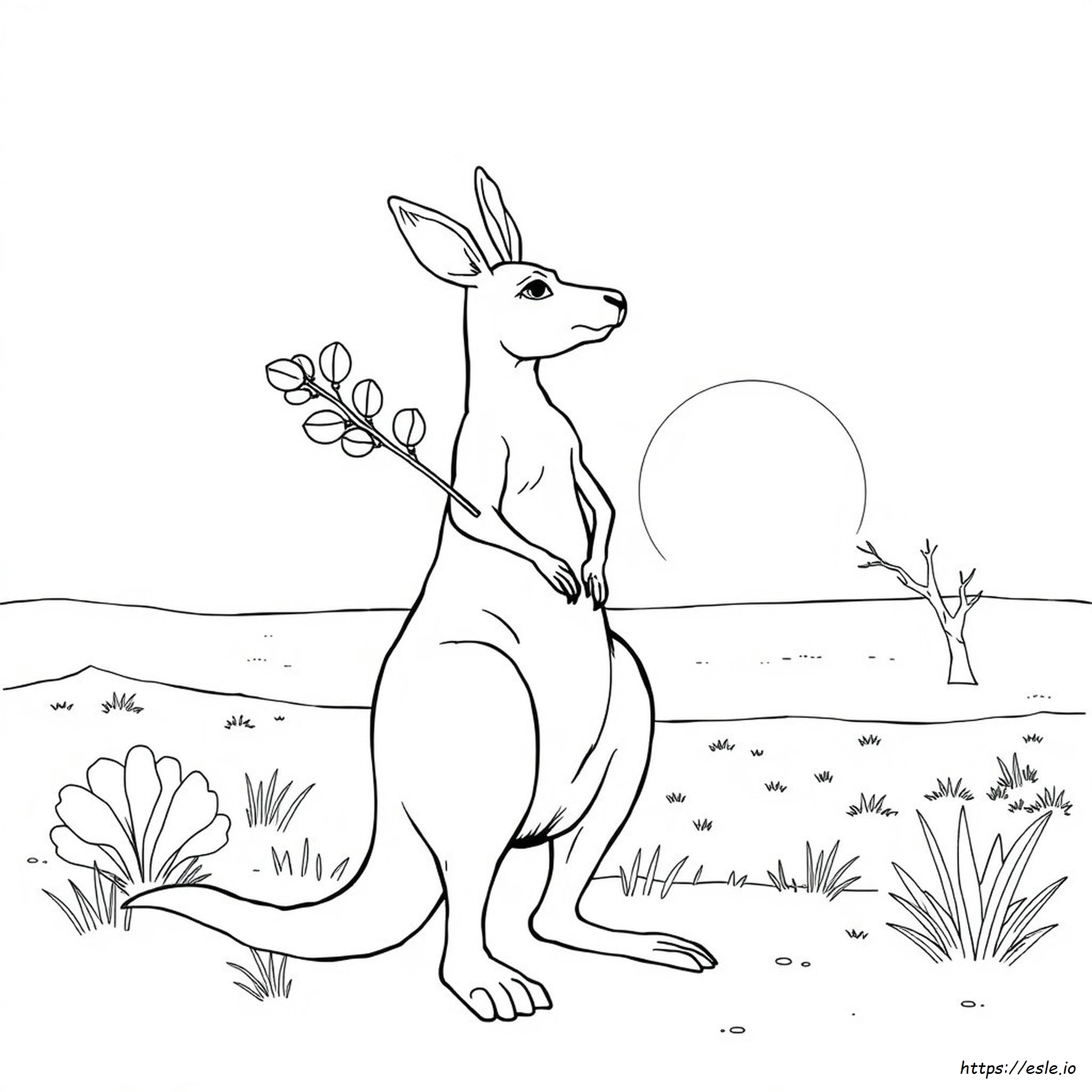 Coloriage Kangourou Réaliste