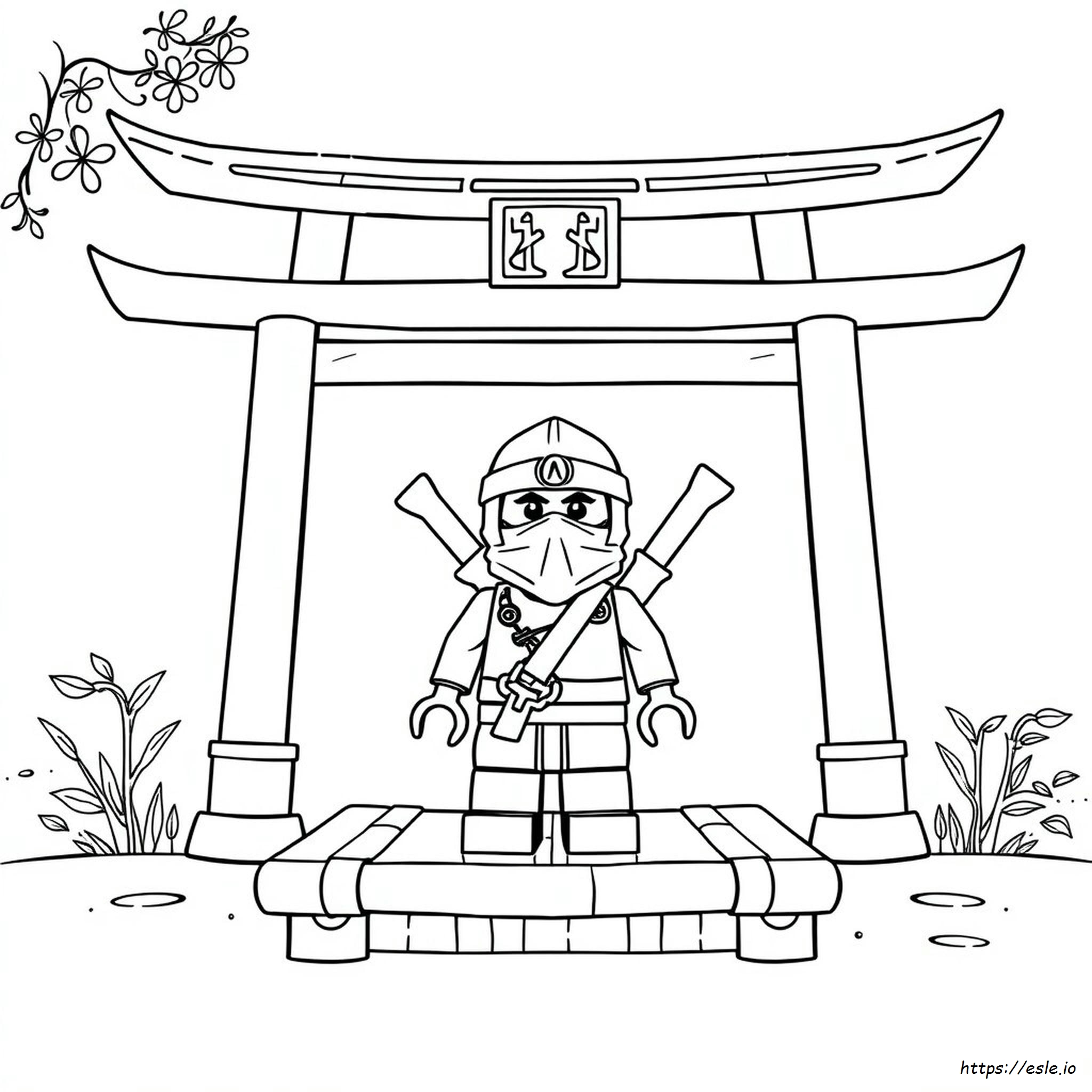Ninja Coloring Pages Printable