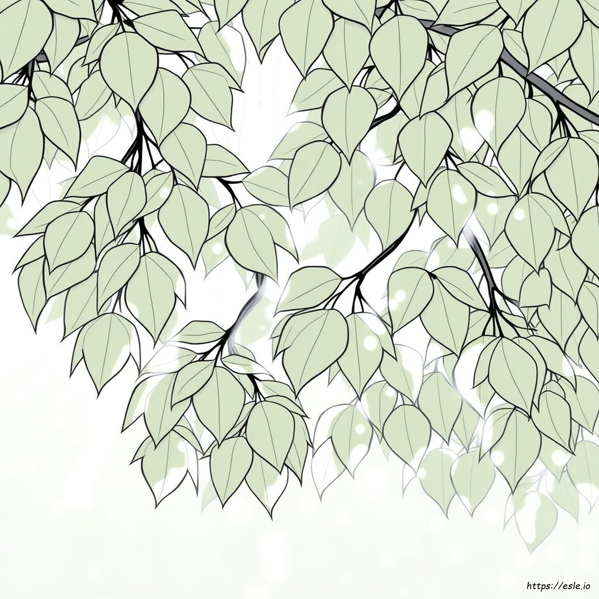 Sage Green Colours To Go With