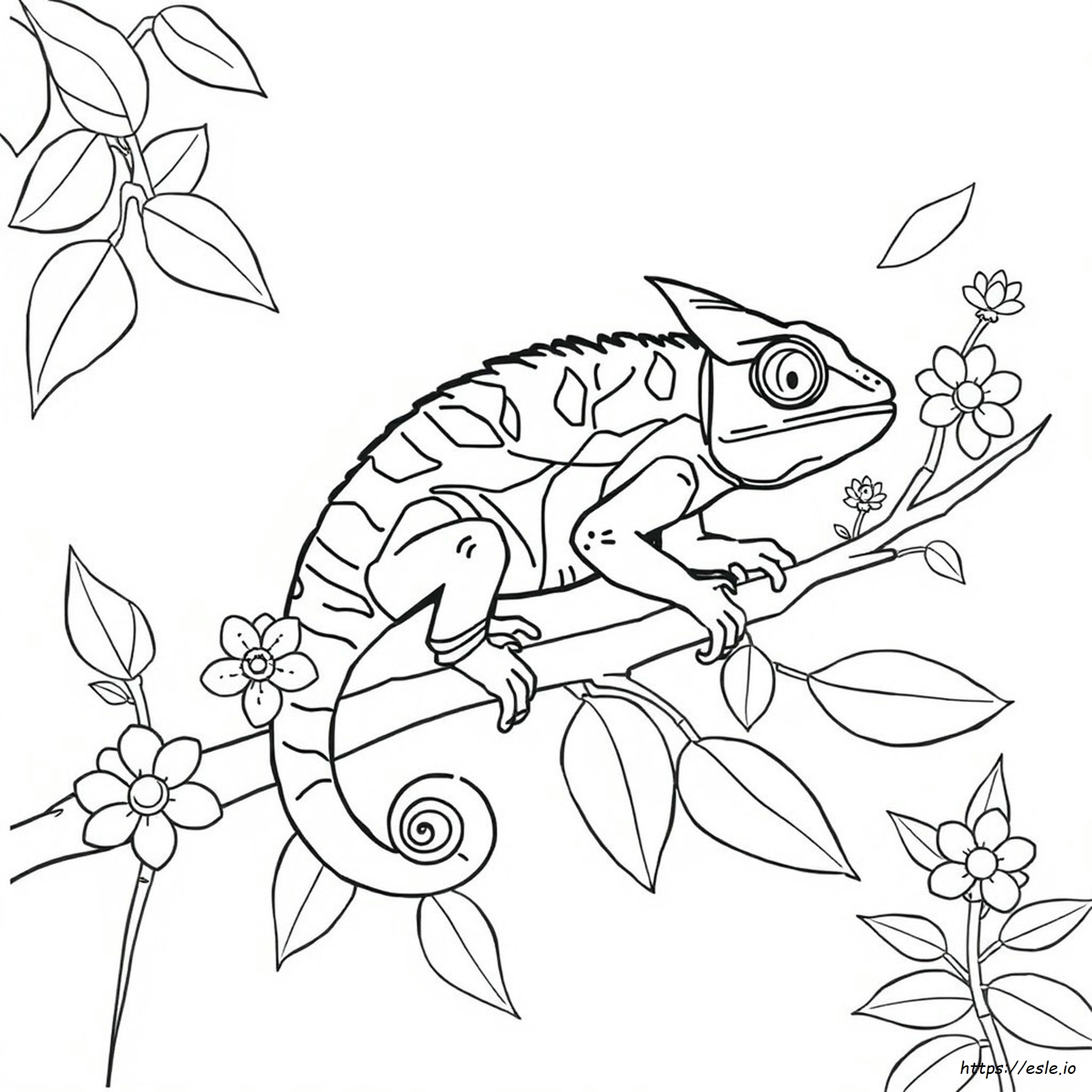 Changing Its Color Is The Chameleons Way Of