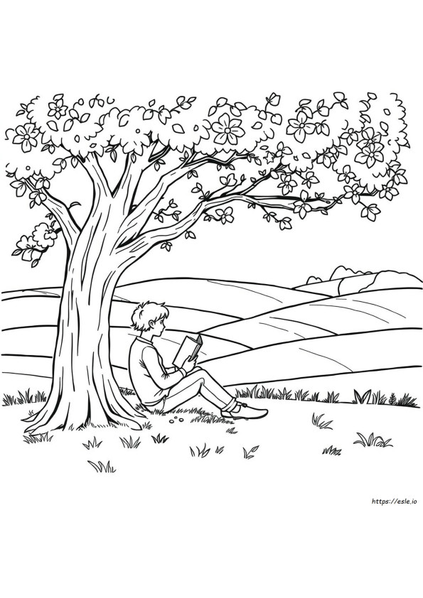 Free Adult Coloring Images