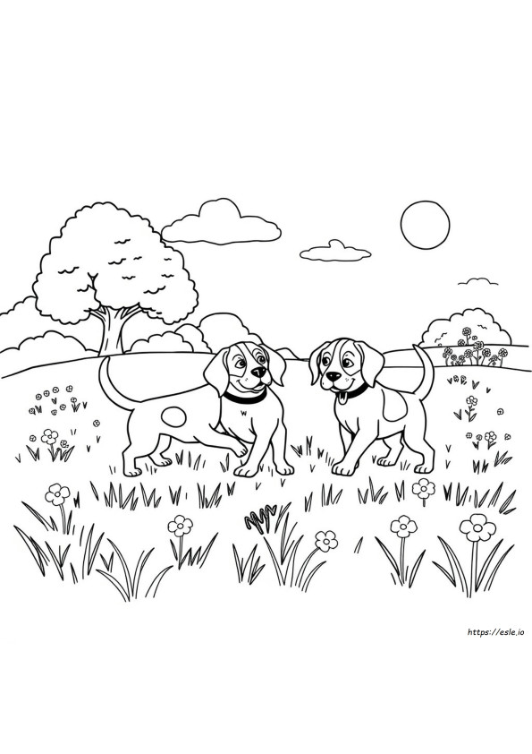 Beagle Värityskuva